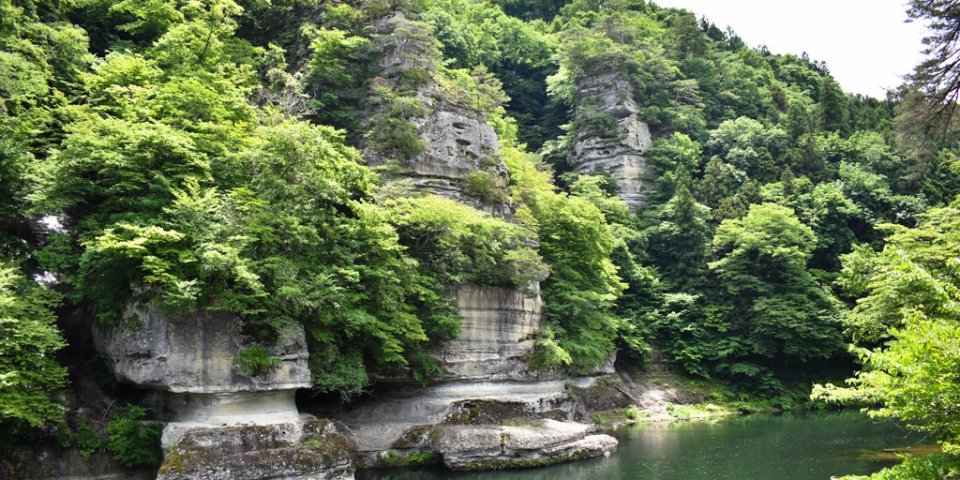 夏の新緑ドライブコース