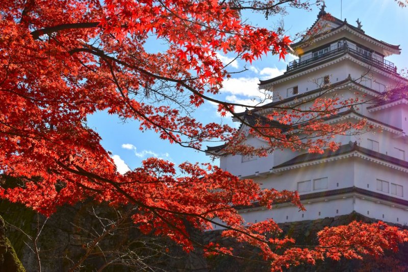 鶴ヶ城天守閣(国指定史跡・若松城跡)｜観光・体験｜会津若松の公式観光