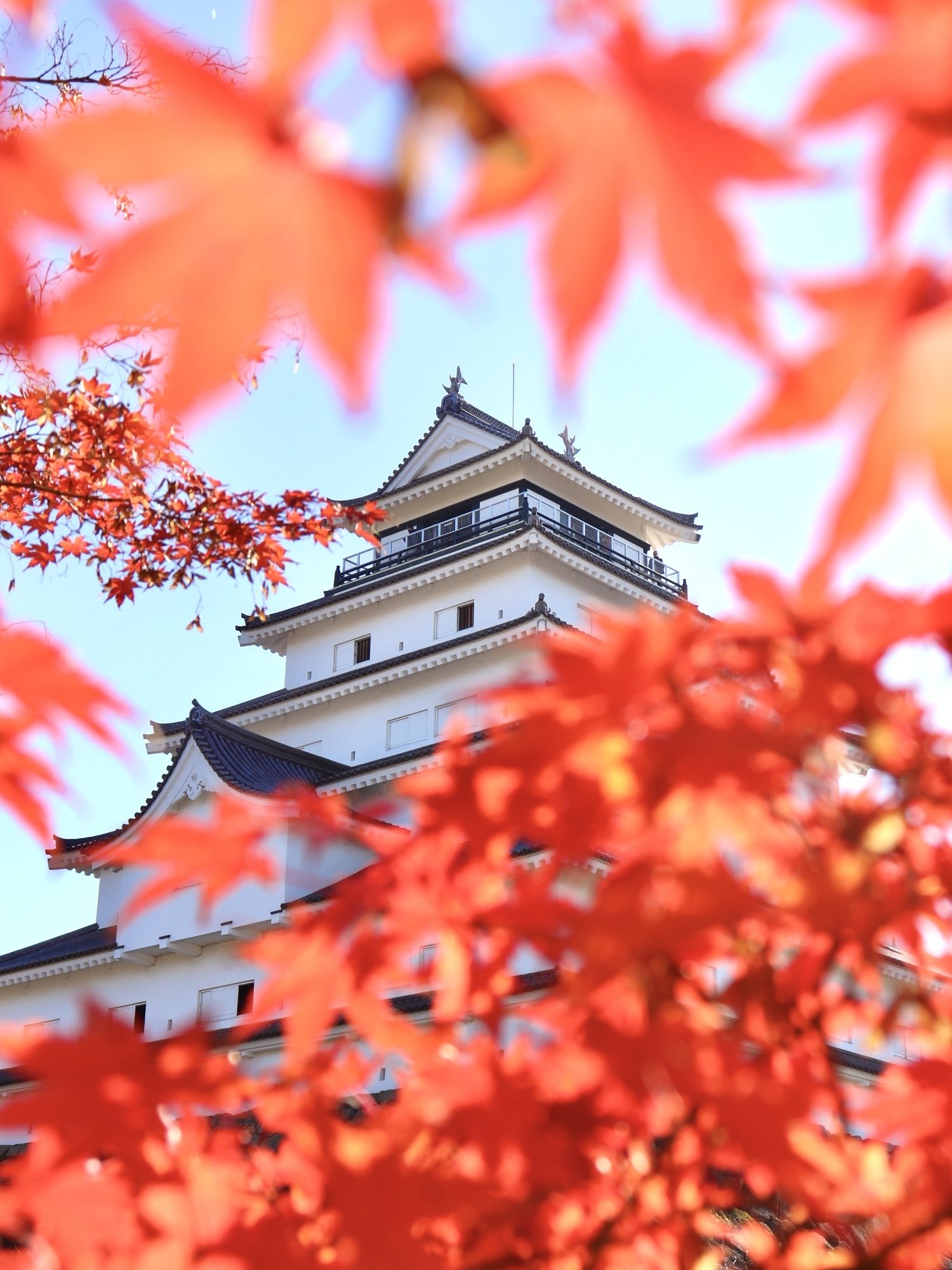 紅葉に彩られた鶴ヶ城