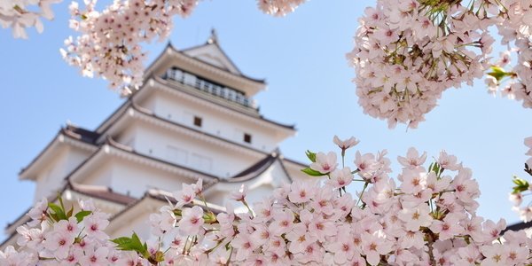 鶴ヶ城さくらまつり